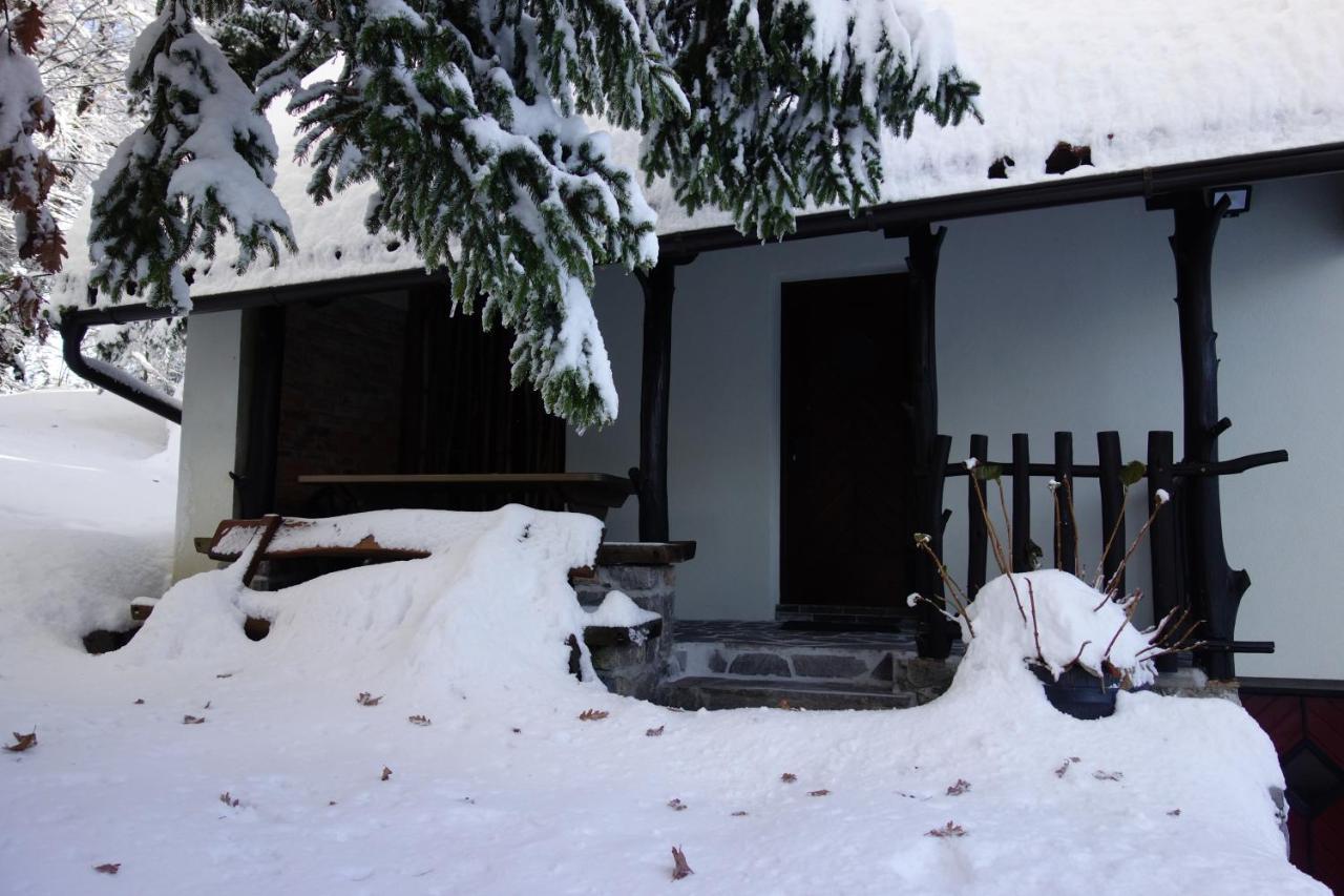 Villa Forest House Vrhnika Exterior foto